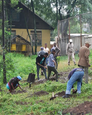 Berhane Wongel Baptist Church Development Organization